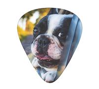 Puppy Dog Boston Terrier Print Guitar Picks Personalized Novelty Guitar Plectrums For Electric Guitar Acoustic Guitar 12 Pack