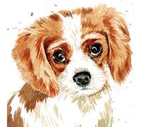Puppy Dog Eyes Card Collection - Cavalier King Charles Charlie