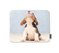 Puppy Dog Mouse Pad Small Cute Beagle Puppy Dog Looking Up Decor Gaming Mouse Pad Rectangle Non-Slip Rubber Mousepad for Computers Laptop 9.4"x7.9"