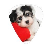 Puppy Dog with A Red Heart Printed Triangle Guitar Picks 12 Pcs Novelty Guitar Plectrums for Bass, Electric, Acoustic Guitar