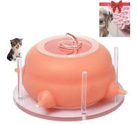 Puppy Feeder with Miracle Nipple - Ideal for Milk Replacement for Newborn Pups and Kittens, Includes 4 Nipples and Pet Bathing Brush