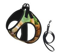 Puppy Golden Retriever Compact Pet Suspender Vest-The Perfect Small Pet For A Comfortable Walk