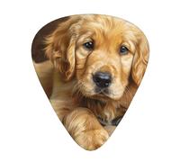 Puppy Golden Retriever - Guitar Picks-12 Pack Includes Thin, Medium & Heavy Gauges, Best Gift for Guitar Lovers