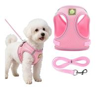 Puppy Harness 8 Weeks 12 Weeks, Small Dog Harness with Adjustable Design, Pink Dog Harness for Evening Safety Walks and Leash Training, XS Size and 150cm Traction Rope