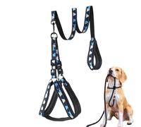 Puppy Harness and Leash Set, Reflective Puppy Walking Lead, Breathable Non-Slip Adjustable Harness Leash for Outdoor Training Medium Dogs Large Breed