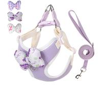 Puppy Harness and Leash Sets with Detachable Bows, Small Dog Adjustable Lightweight Vet Harness Ideal for Walking Running Training for Puppy Small and Medium Sized Dog (Pueple with 3 bows, S)