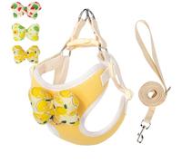 Puppy Harness and Leash Sets with Detachable Bows, Small Dog Adjustable Lightweight Vet Harness Ideal for Walking Running Training for Puppy Small and Medium Sized Dog (Orange with 3 bows, L)