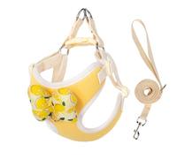 Puppy Harness and Leash Sets with Detachable Bows, Small Dog Adjustable Lightweight Vet Harness Ideal for Walking Running Training for Puppy Small and Medium Sized Dog (Orange with 1 bow, L)