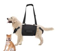 Puppy Harness, Dog Harness with Handle, Easy Walking Dog Harness, Auxiliary Strap, No Choking, Pet Handle Harness for Walking the Dog, Suitable for Small, Medium and Large