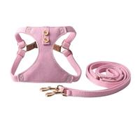 Puppy Harness Leash Set, Breathable Pet Vest Harnesses with 1.25M Leash & 360° Rotating Buckle for Small Medium Dogs Cats