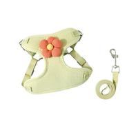 Puppy Harness & Leash Set Soft Mesh Padded Cat Harness Cute Dog Vest For Outdoor Walking Running Jcy909 (A, XL)