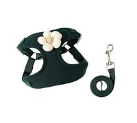Puppy Harness & Leash Set Soft Mesh Padded Cat Harness Cute Dog Vest For Outdoor Walking Running Sqk466 (C, L)