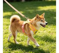 Puppy Harness Ultimate Comfort Chest Strap Harness No Pull Training Walking Running Adjustable Breathable Mesh Padded Vest Reflective Strips Easy Put On Off Handle Control for All Breeds