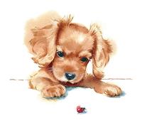 Puppy & Ladybird Napkin Pack of 20