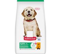 Puppy Large Breed Dry Dog Food With Chicken 6kg - Support Optimal Digetsive Health and Overall Well Being - Supports Healthy Brain & Eye Development - Building Lean Muscles