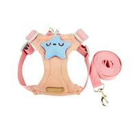 Puppy Leash, Vest-Style Dog Leash with Teddy Bear Harness, Small Dog for Outdoor Use(Pink2m,Large)