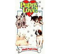 Puppy Love - Puppy Love: Adorable Puppies at Play [VHS]