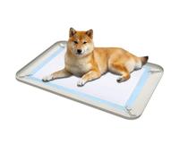 Puppy Potty Tray Spillproof Non-Slip Leak-Proof Silicone