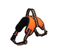 Puppy Training Harness And Lead Set Adjustable Dog Vest For German Shepherd Labrador Small Medium Breed Puppies Personalised Puppy Essentials Secure Comfort Control(Orange,M)