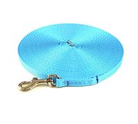 Puppy Training Lead Small Dog Recall Obedience Training Leash 30ft (9m) in 13mm Strong Webbing in (Sky Blue)