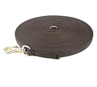 Puppy Training Lead Small Dog Recall Obedience Training Leash 50ft (15m) in 13mm Strong Webbing in (Brown)
