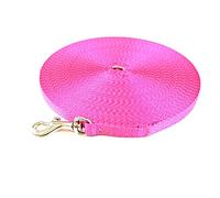 Puppy Training Lead Small Dog Recall Obedience Training Leash 50ft (15m) in 13mm Strong Webbing in (Cerise)