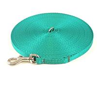 Puppy Training Lead Small Dog Recall Obedience Training Leash 50ft (15m) in 13mm Strong Webbing in (Emerald Green)