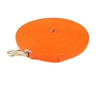 Puppy Training Lead Small Dog Recall Obedience Training Leash 50ft (15m) in 13mm Strong Webbing in (Orange)