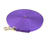 Puppy Training Lead Small Dog Recall Obedience Training Leash 50ft (15m) in 13mm Strong Webbing in (Purple)