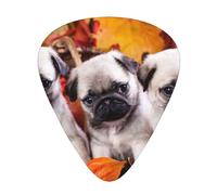 Puppys Pug,12 Pcs Guitar Pick,3 Different Thickness Plectrums for Acoustic Guitar Bass Ukulele (0.46mm 0.96mm 0.71mm)