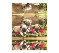 Puppys Pug A4 Crystal Clear Sticker Sheet,Full-Print Waterproof Pet Decals with 3D Effect,Ideal for Laptops,Glass,Metal,DIY Crafts Home Decor