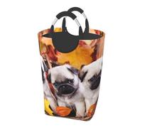 Puppys Pug, Laundry Hamper, Collapsible Laundry Basket Large Durable Storage Bin with Handles 50L