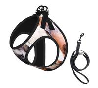 Puppys Pug,Pet Harness,Adjustable Reflective Dog Harness,Pet Leash Vest,S