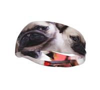 Puppys PugHair Bands for Men Woman Headband Running Headband Sweat Wicking Gym