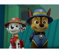 Pups Save a Lost Gold Miner / Pups Save Uncle Otis From His Cabin