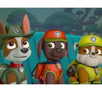 Pups Save Election Day / Pups Save the Bubble Monkeys