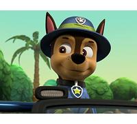 Pups Save the Dizzy Dust Express / Pups Save the Treetop Trekkers