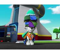 Pups Save the Runaway Turtles/Pups Save the Shivering Sheep