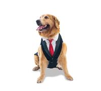Puptail Dog Suit Or Dog Tuxedo and Bandana Set, Pets Wedding Party Suit, Clothes Bow Tie, Dogs Dresses for Small, Medium and Large Female Golden Retriever, (New Black, Medium)