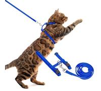 PUPTECK Adjustable Cat Harness and Lead Set Escape Proof Kitten Strap Collar for Walking Travel, Blue, S