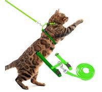 PUPTECK Adjustable Cat Harness and Lead Set Escape Proof Kitten Strap Collar for Walking Travel, Green, M