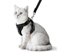 PUPTECK Cat Harness and Lead Set Escape Proof Reflective Cat Walking Harness Adjustable Soft Breathable Mesh Vest for Small Pets, Black L