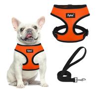 PUPTECK Dog Harness Small Dog Soft Mesh Pet Puppy Cat Comfort Padded Vest No Pull Harnesses and Lead Set