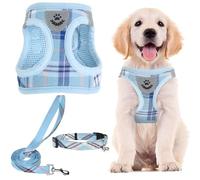 PUPTECK Dog Harness Small Dog with Collar and Lead Set Step-in No Pull Puppy Cat Harnesses for Daily Walking