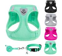 PUPTECK Dog Harness Small Dog with Collar and Lead Set Step-in No Pull Puppy Cat Harnesses for Daily Walking, Solid Green XS
