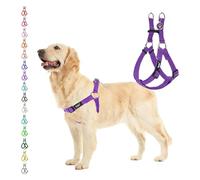 PUPTECK Step-in Dog Harness Large Dog, Anti Pull Adjustable Dog Halter Easy Control for Walking
