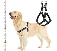 PUPTECK Step-in Dog Harness Medium Dog, Anti Pull Adjustable Dog Halter Easy Control for Walking