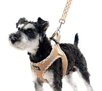 PUPTECK Step-in Dog Harness Small Dog No Pull Vest and Lead Set for Puppy Cats Outdoor Walking, Beige L