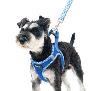 PUPTECK Step-in Dog Harness Small Dog No Pull Vest and Lead Set for Puppy Cats Outdoor Walking, Blue L