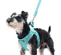 PUPTECK Step-in Dog Harness Small Dog No Pull Vest and Lead Set for Puppy Cats Outdoor Walking, Green XS